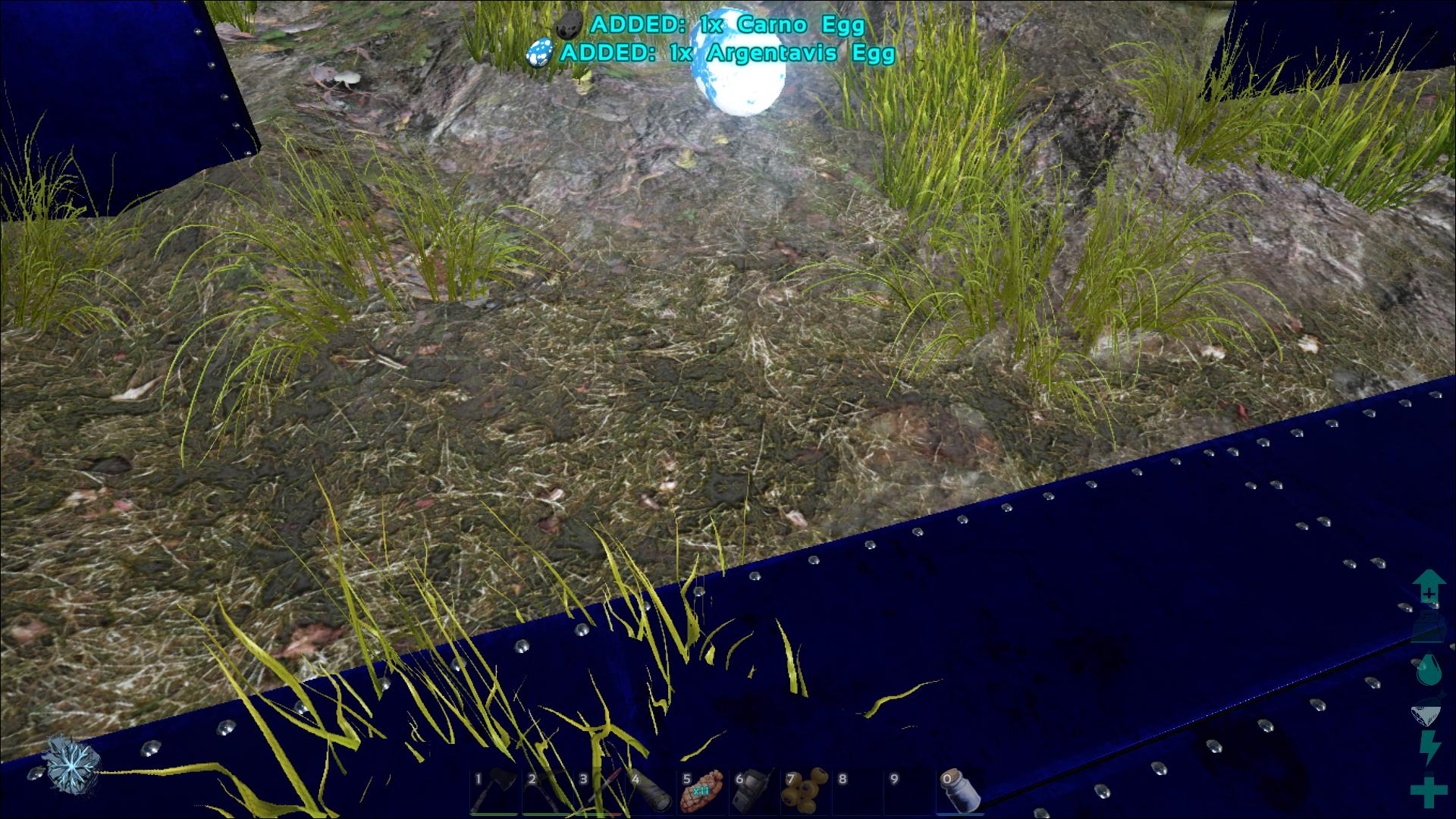 Argentavis Egg ark