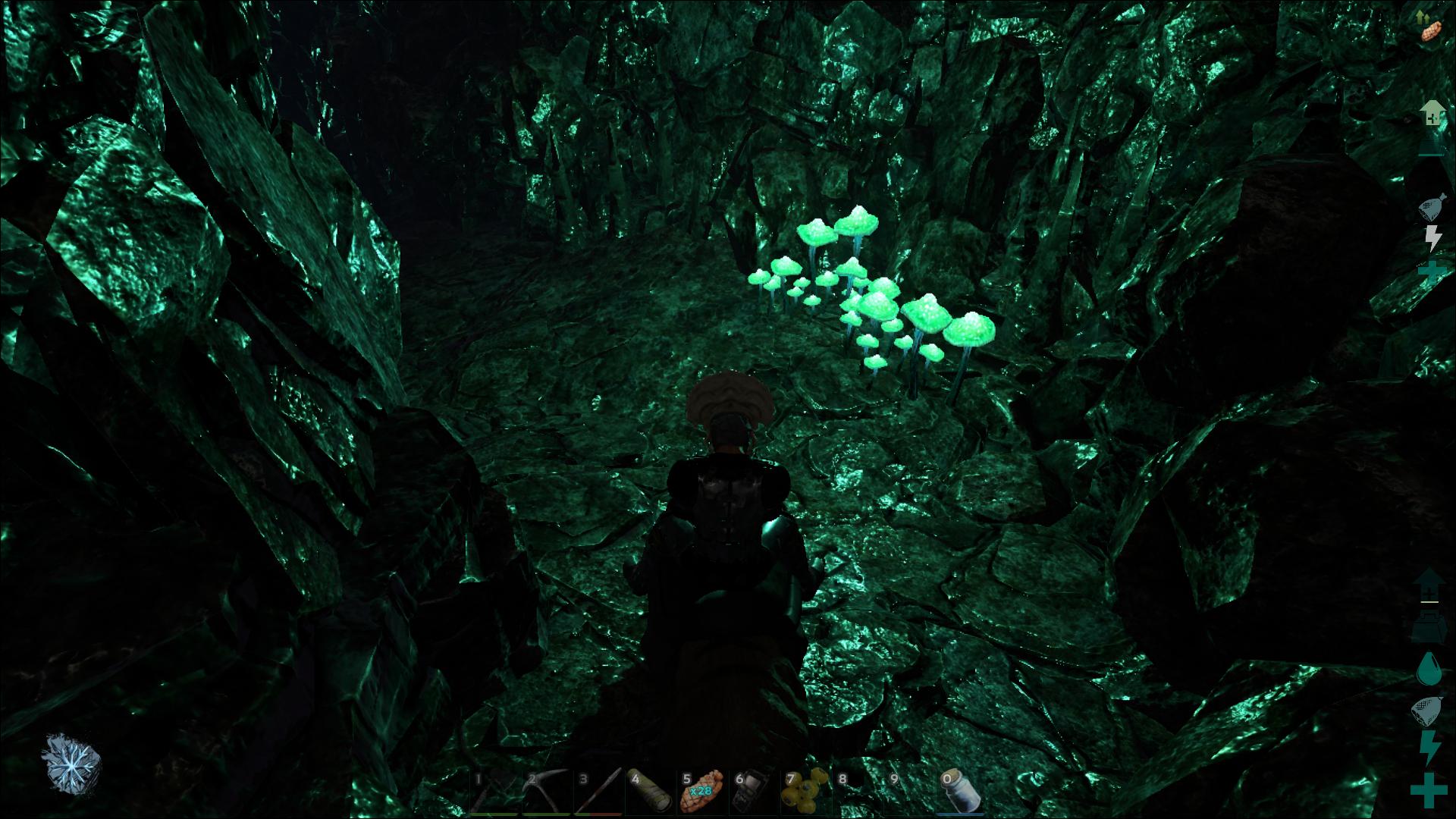 ARK Cave ark