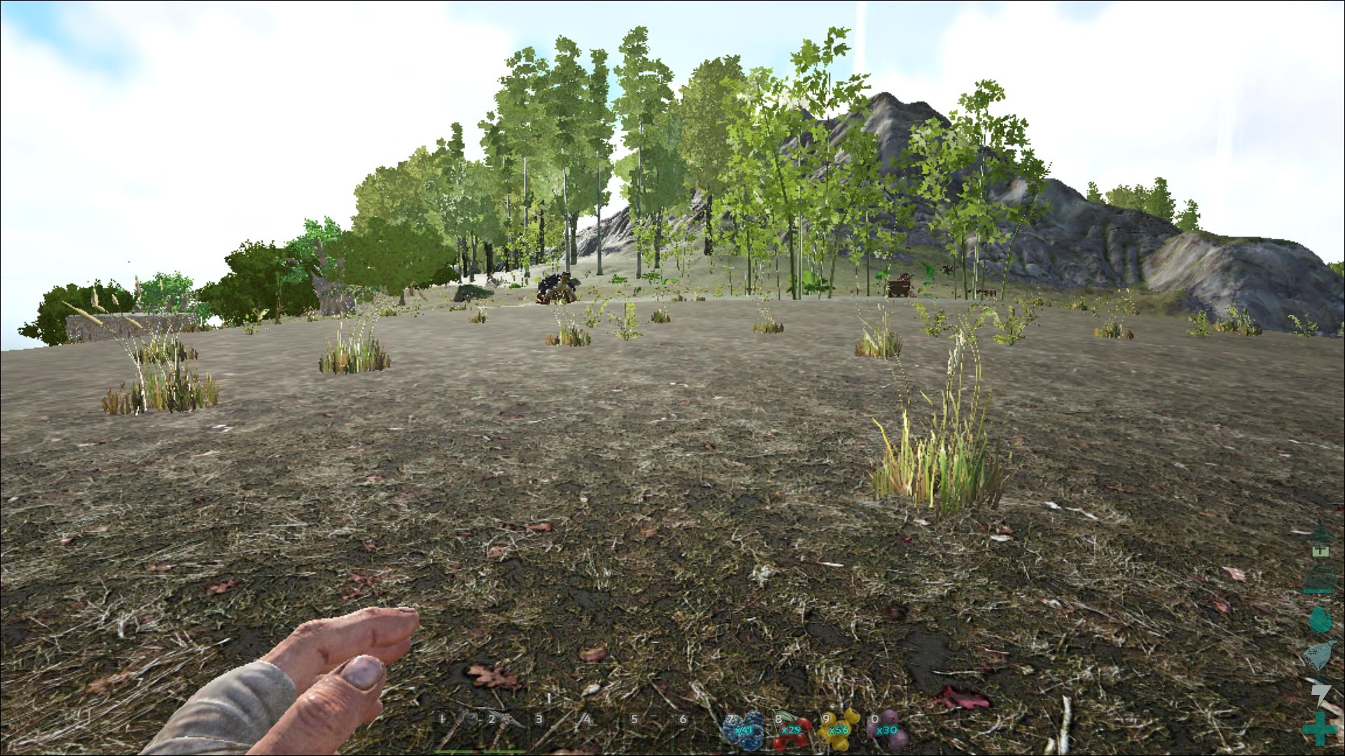 ARK procedural ark