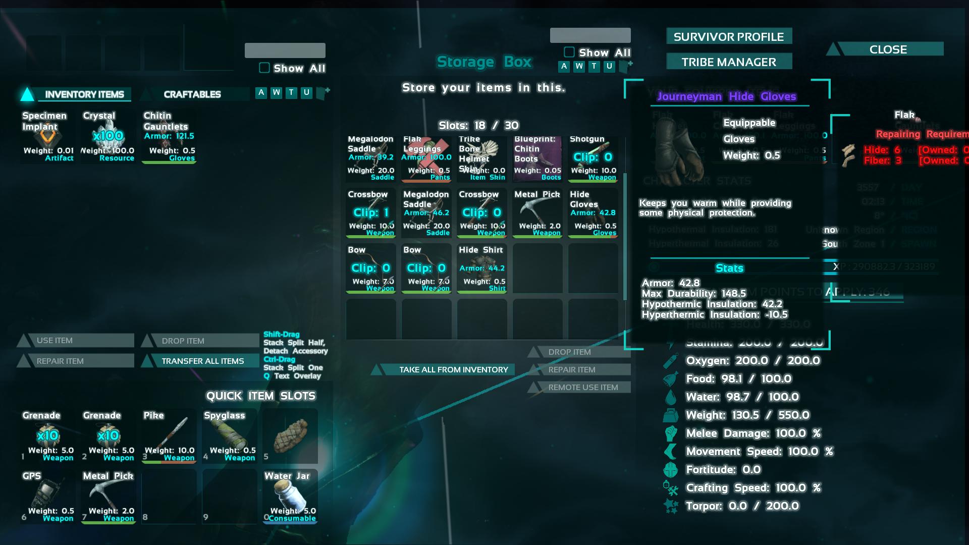 Journeyman Hide Gloves ark