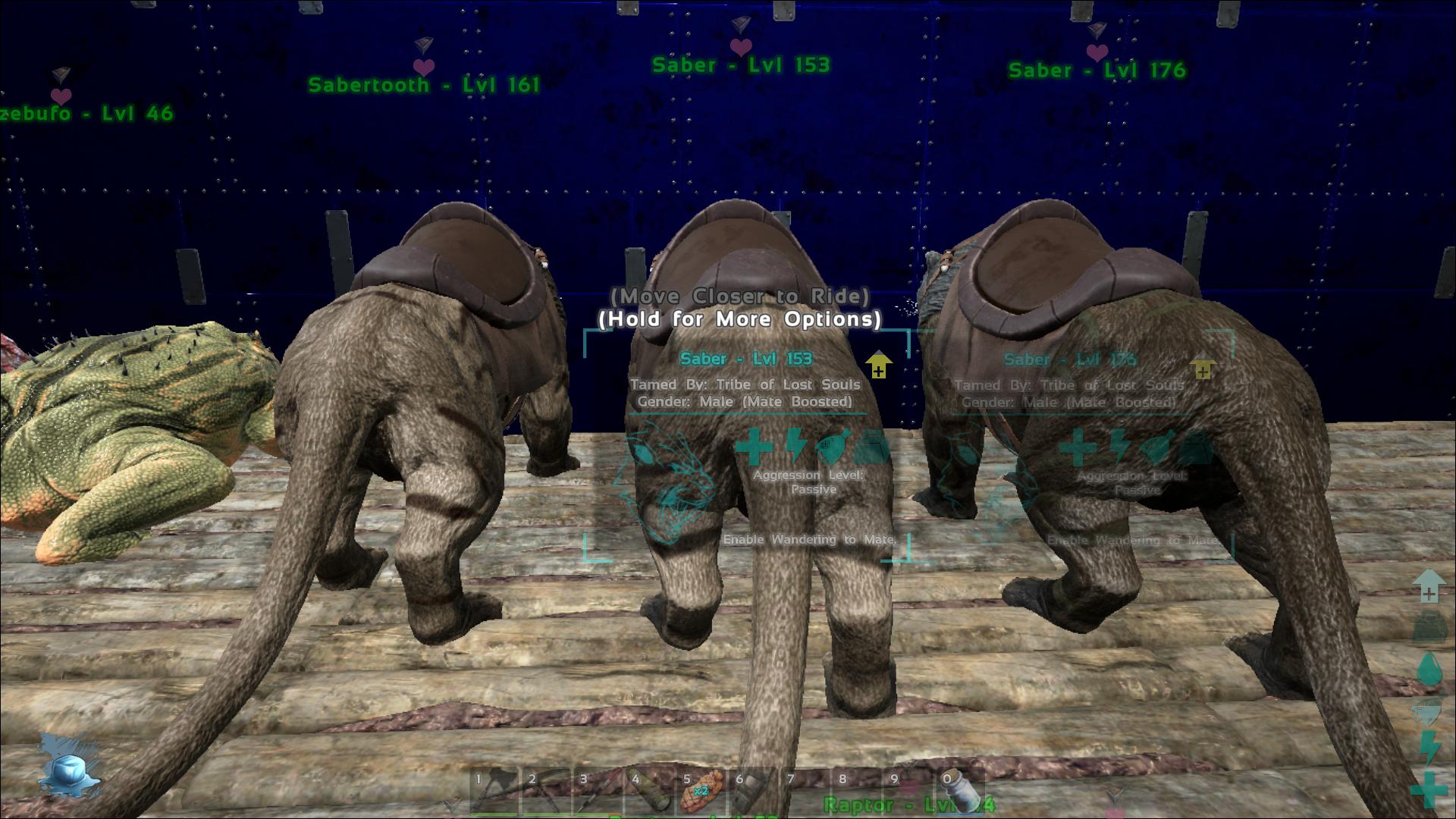 Sabertooth ark