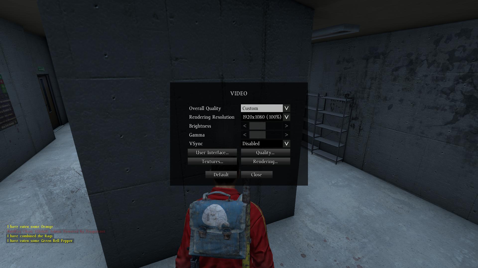 DayZ Video dayz