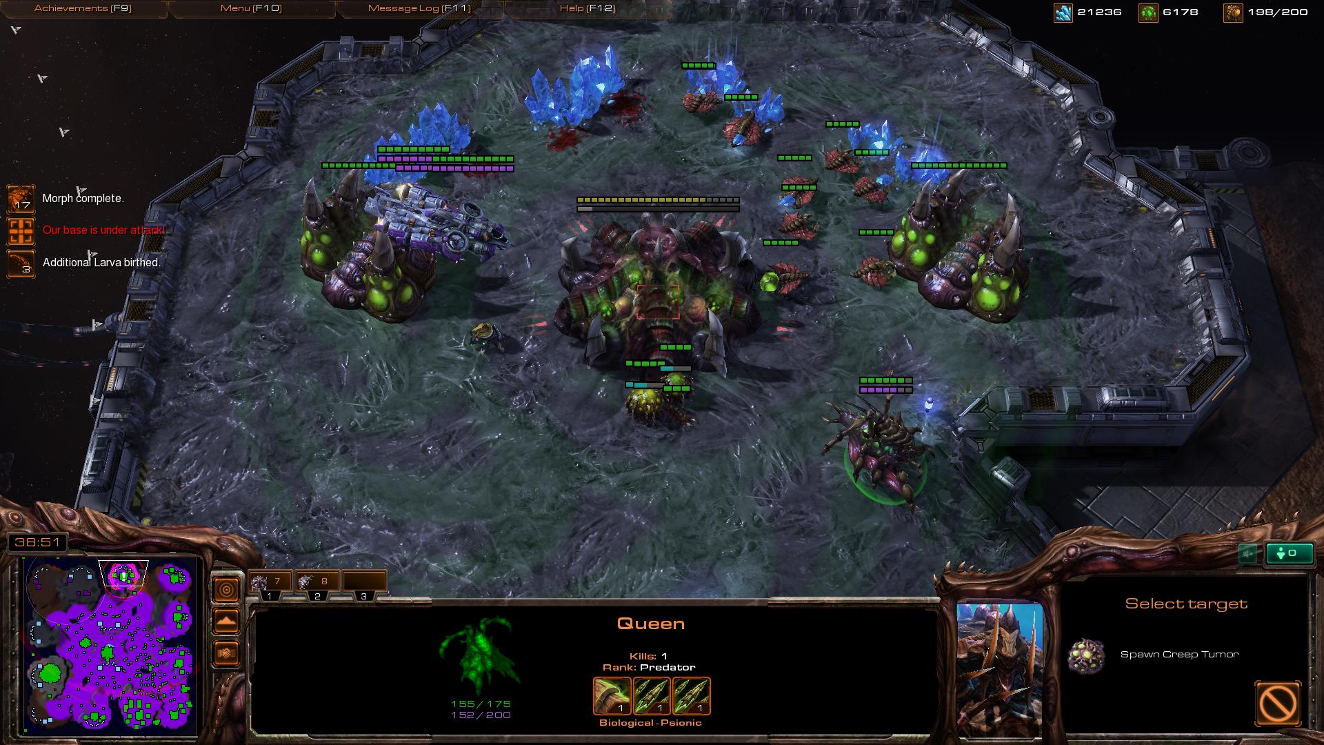 zerg terran sc2