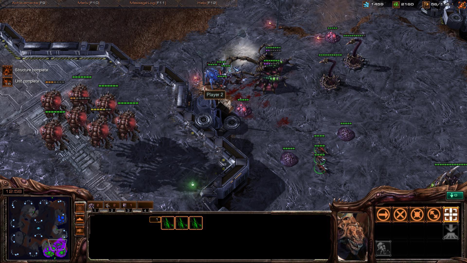 zvp sc2 sc2