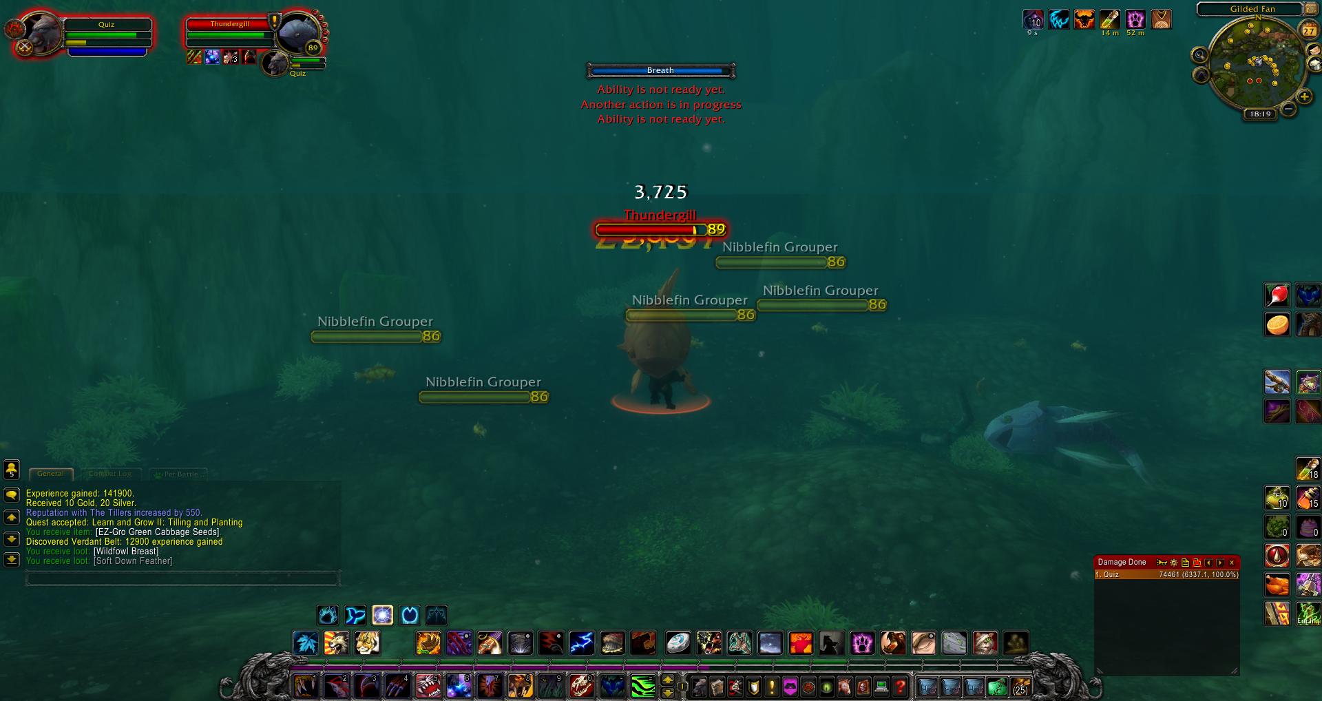 Thundergill wow