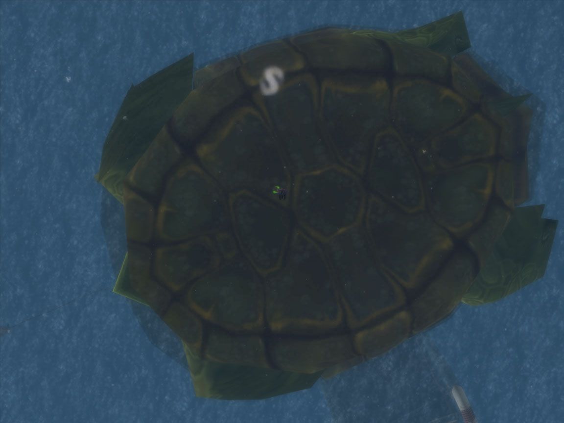 Below the turtle wow
