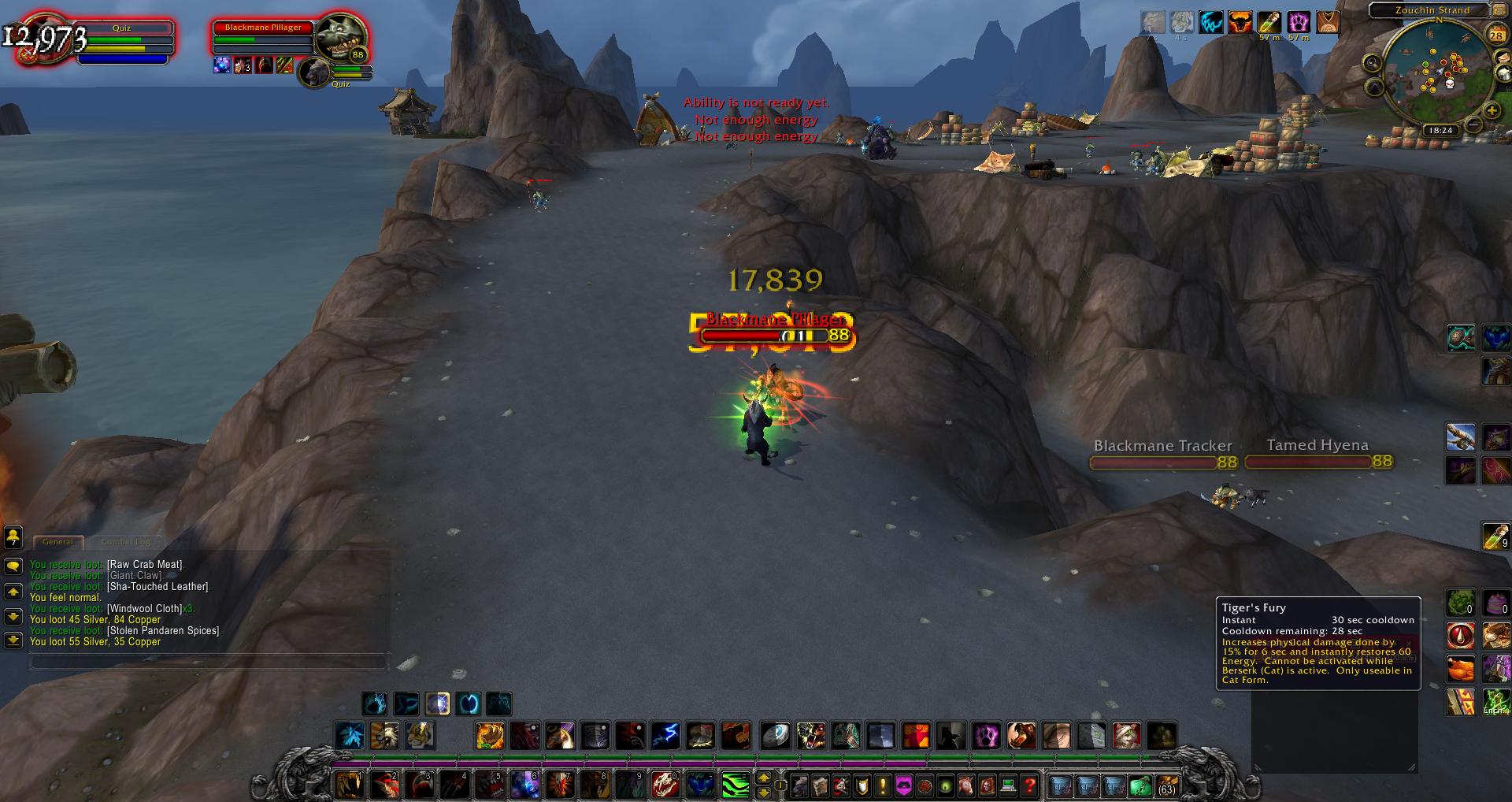 Blackmane Pillager wow