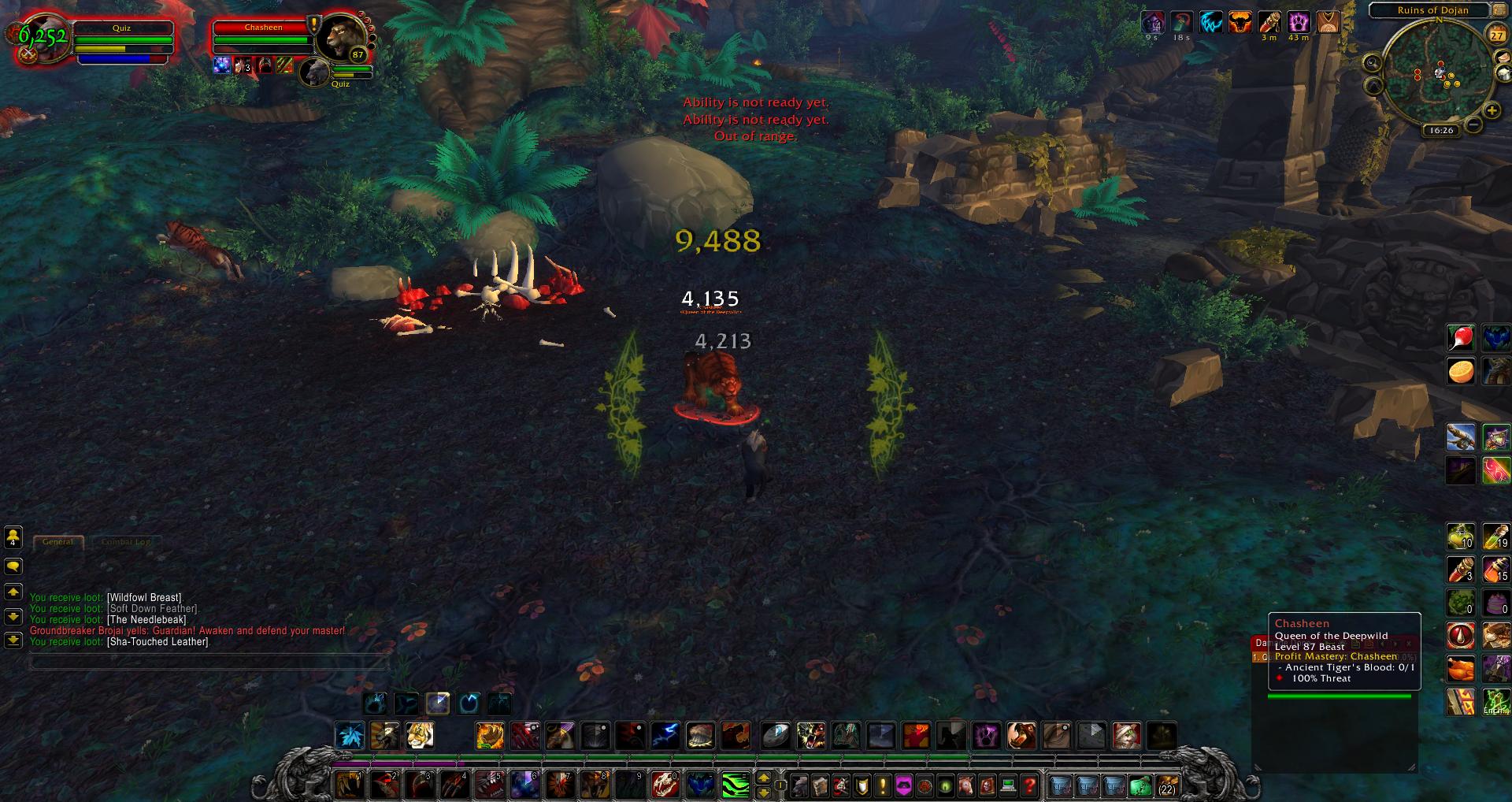 Chasheen wow wow