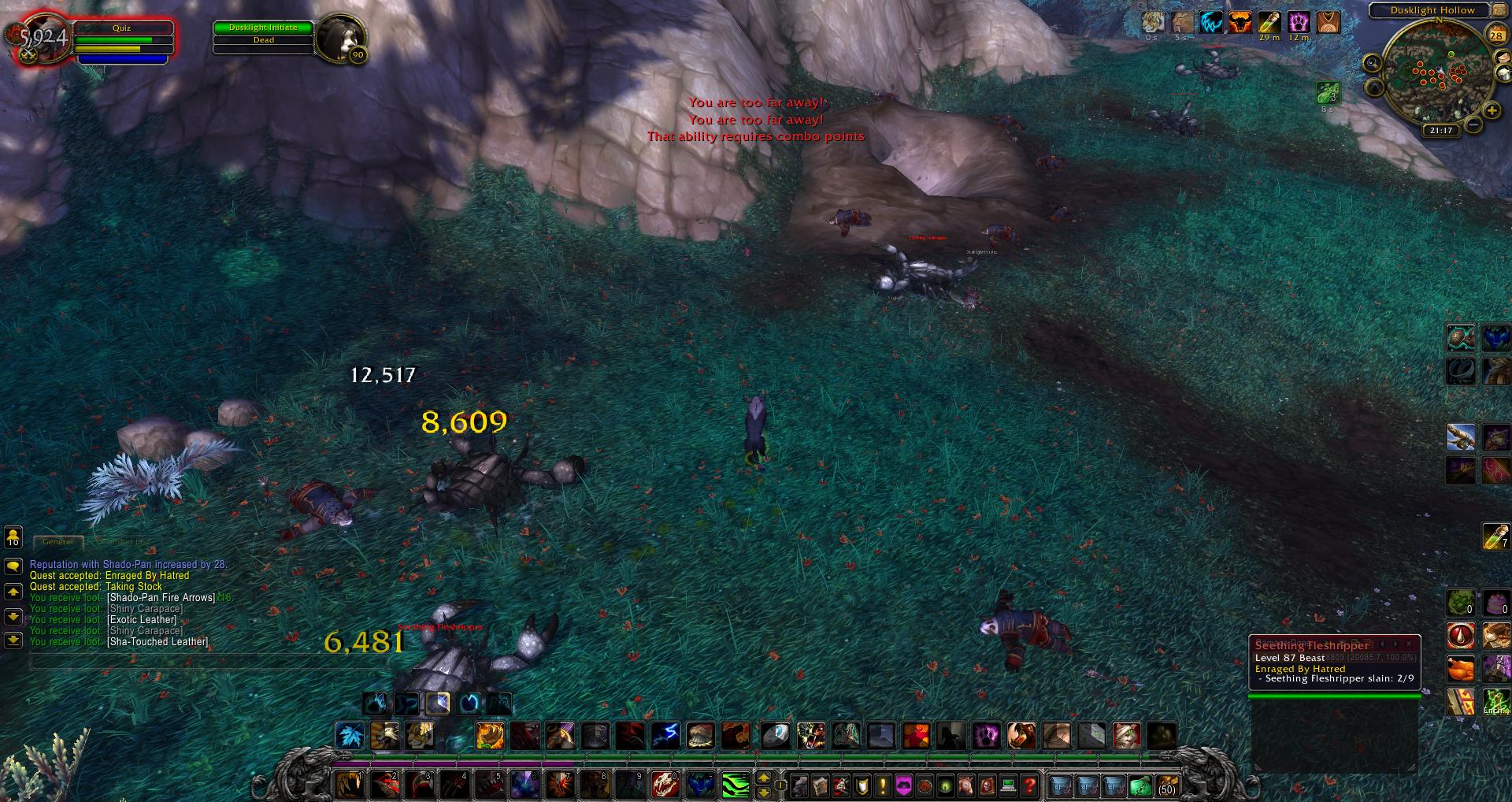Dusklight Hollow wow wow