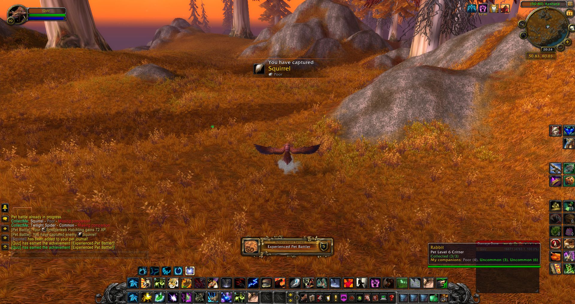 Experienced Pet Battler wow