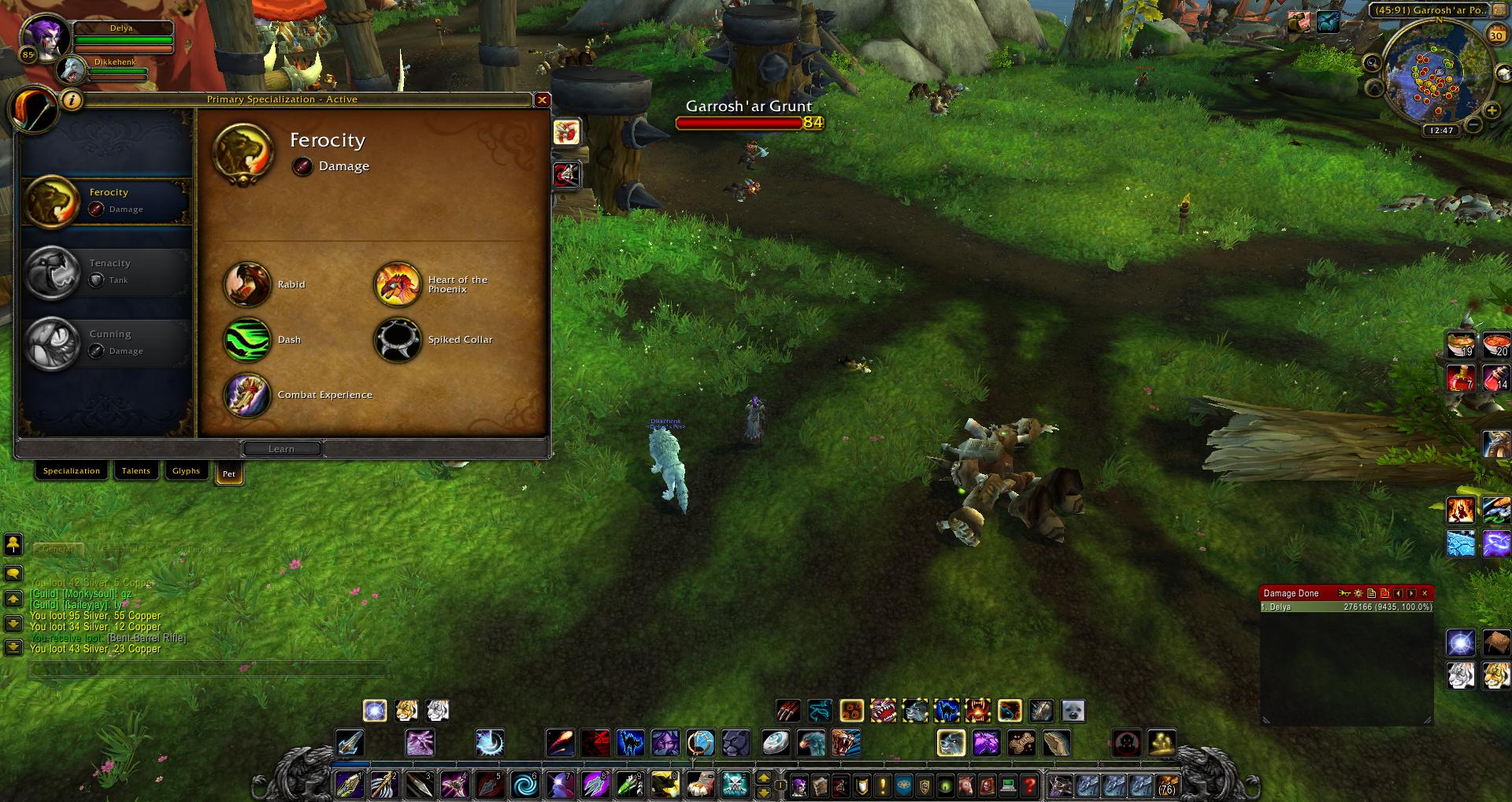 Ferocity Hunter wow