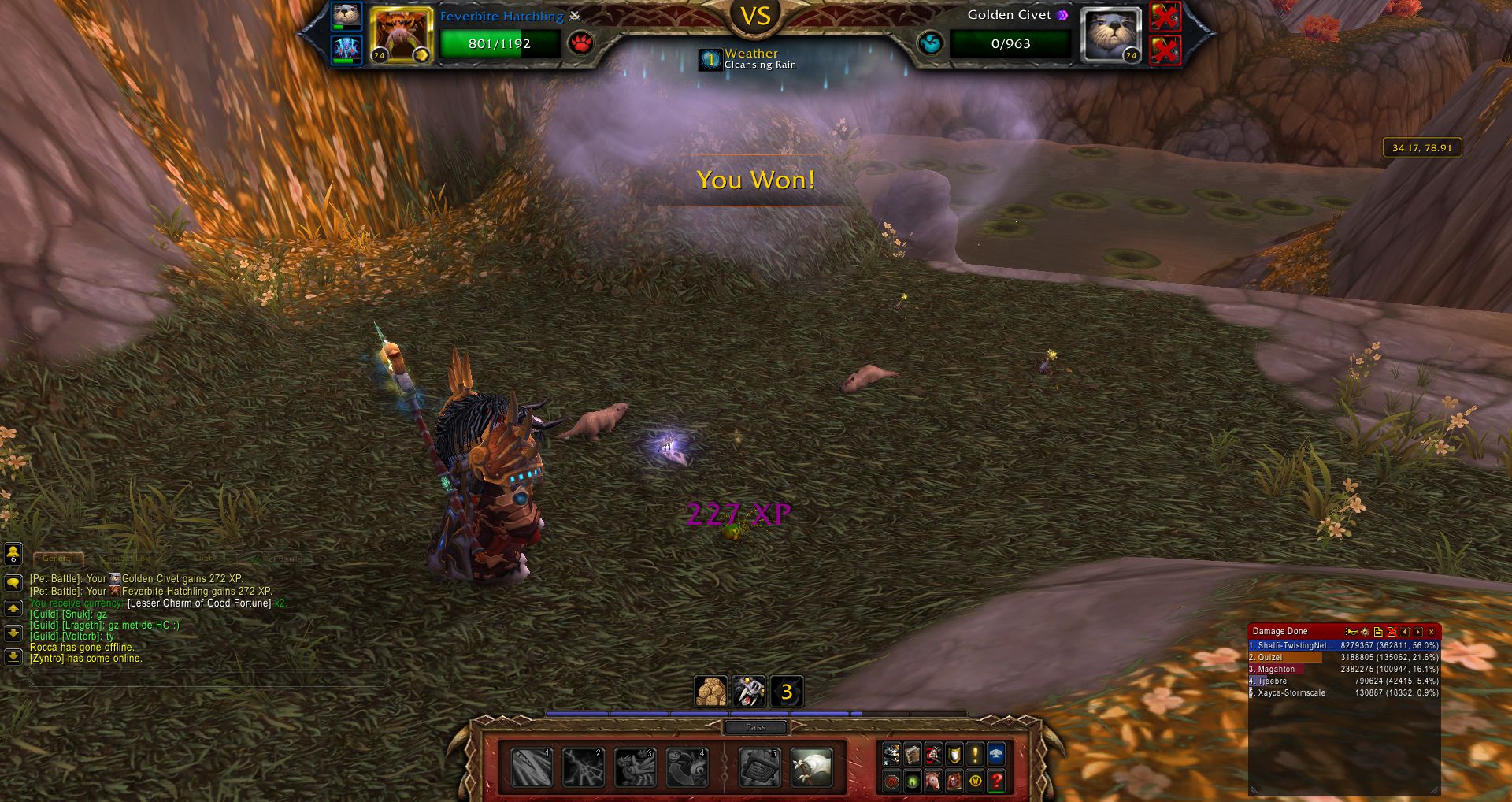 Feverbite Hatchling wow