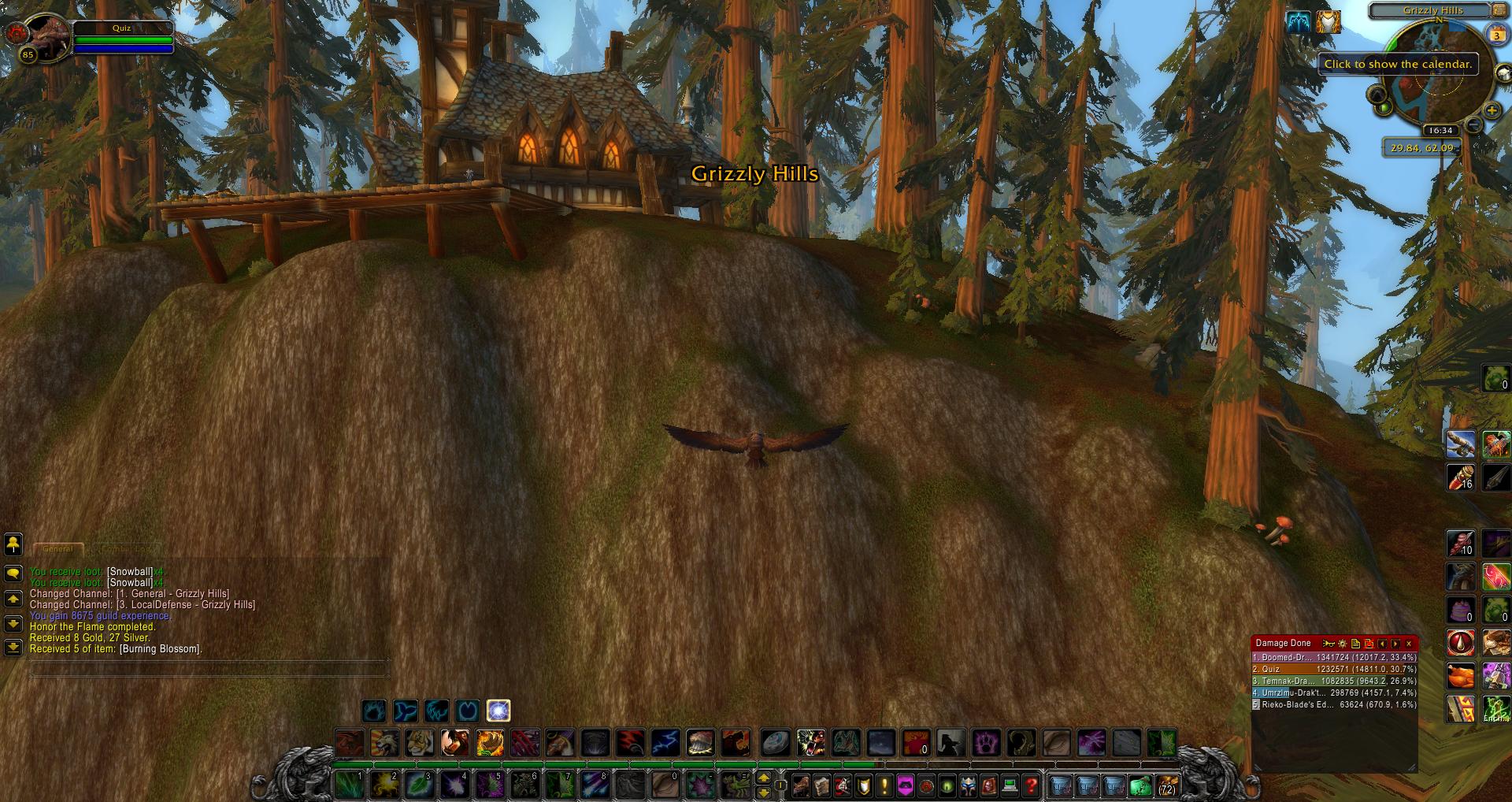 Grizzly Hills wow