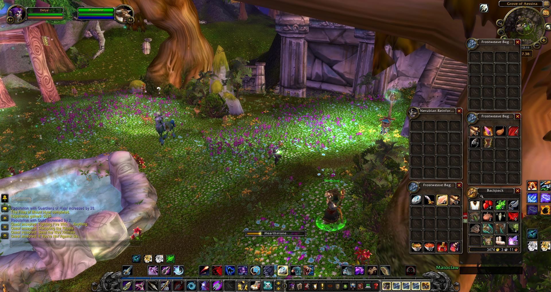 Grove of Aessina Mount Hyjal wow