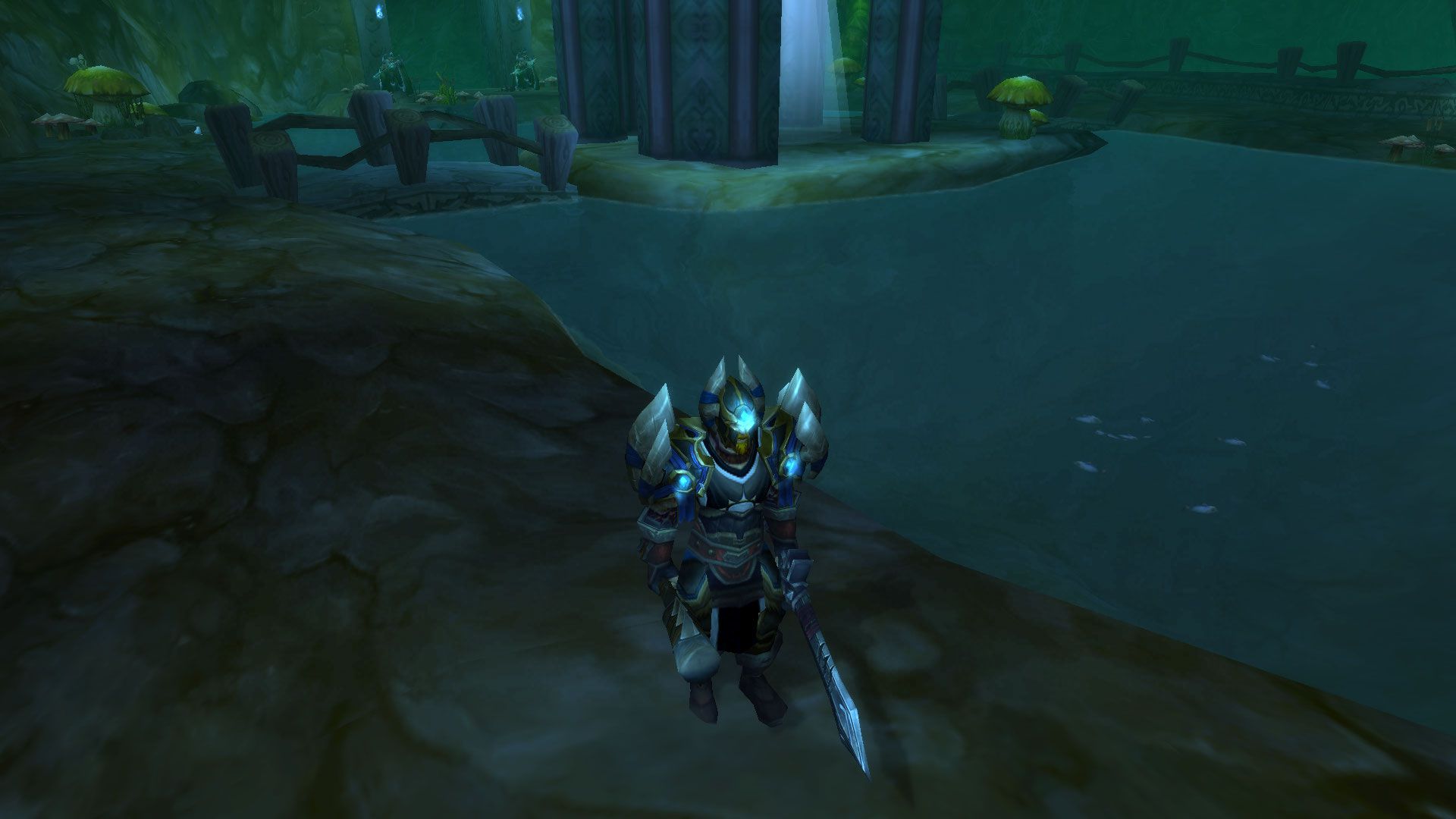 Healer shot wow