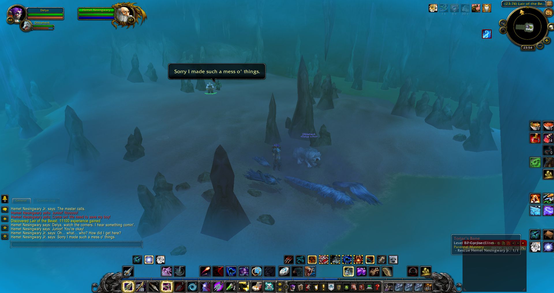 Hemet Nesingwary Jr wow