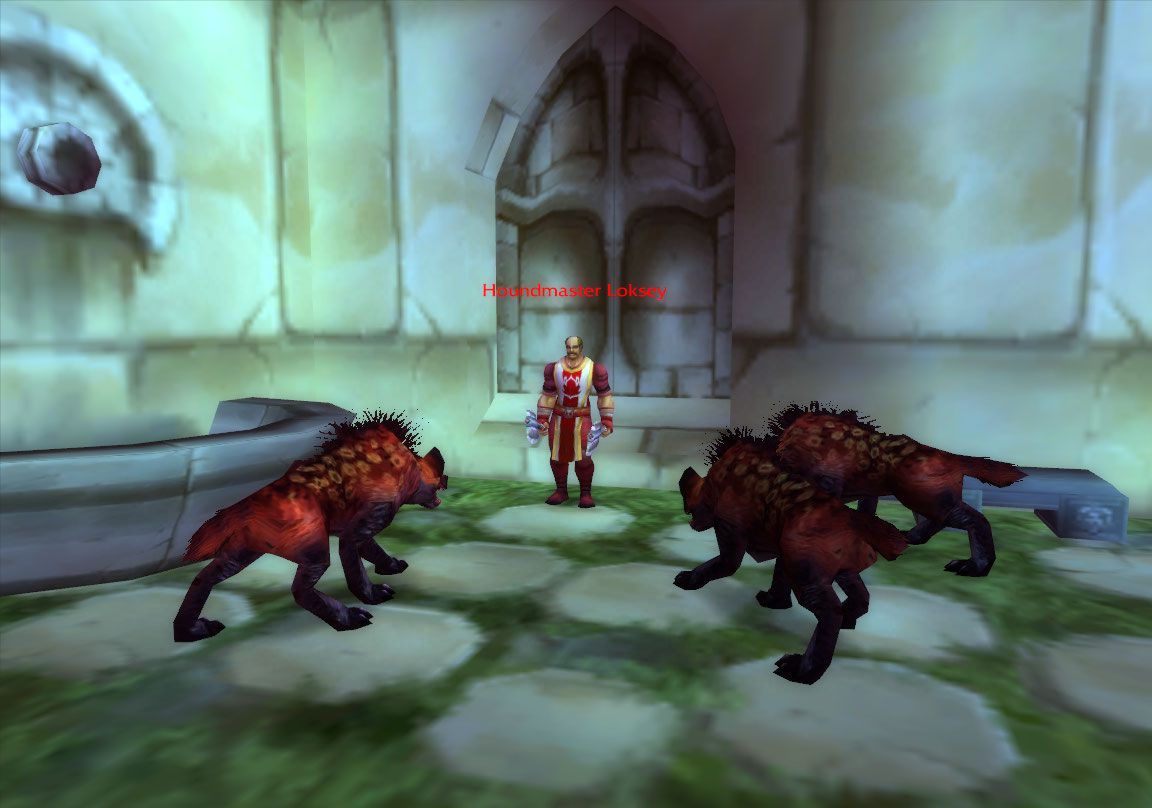 Houndmaster Loksey wow