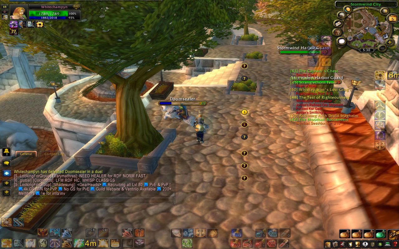 Human paladin SW wow