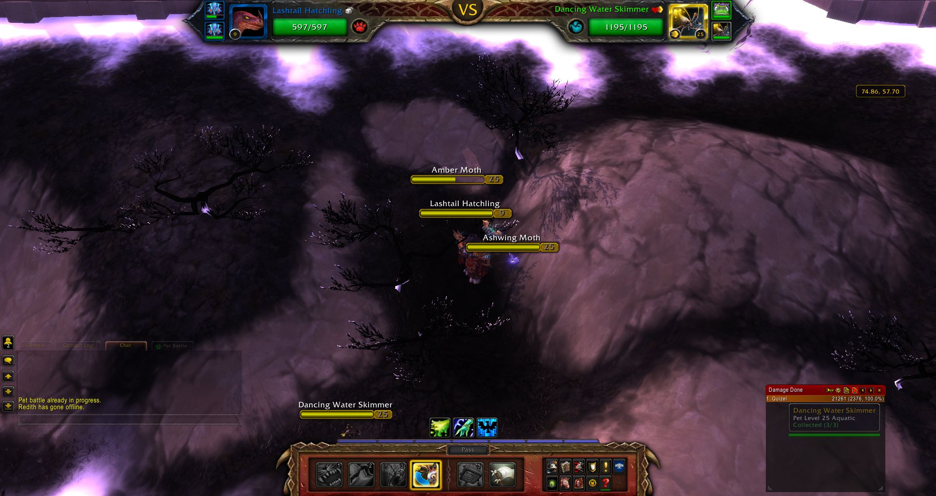Lashtail Hatchling wow