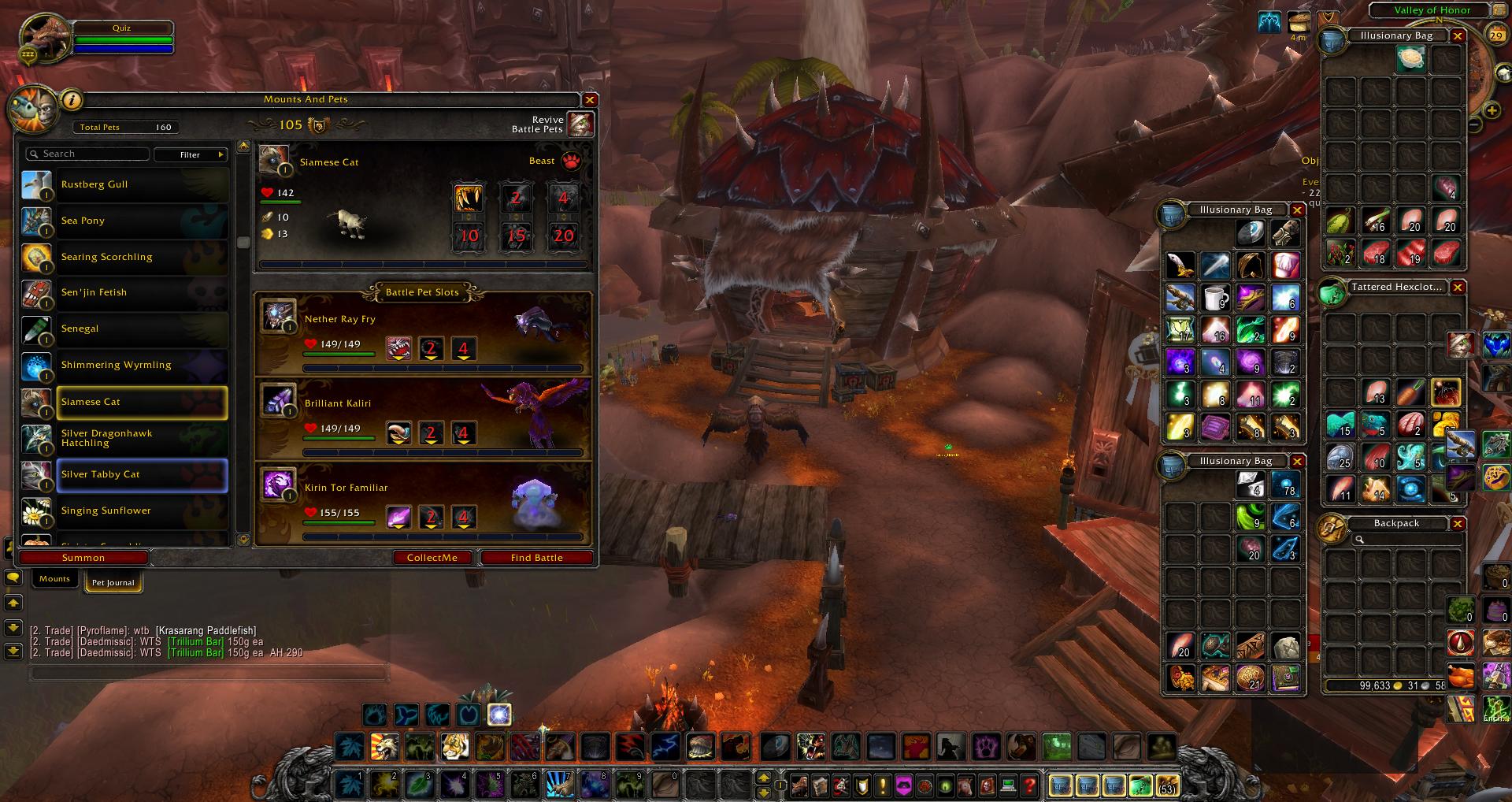 Mounts and Pets wow wow