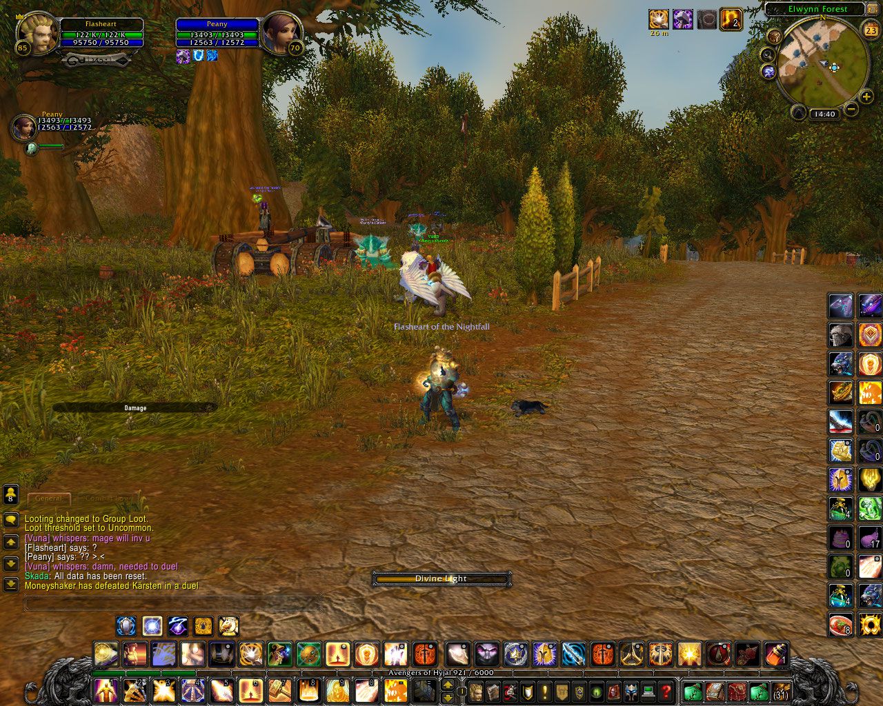 my UI Paladin wow