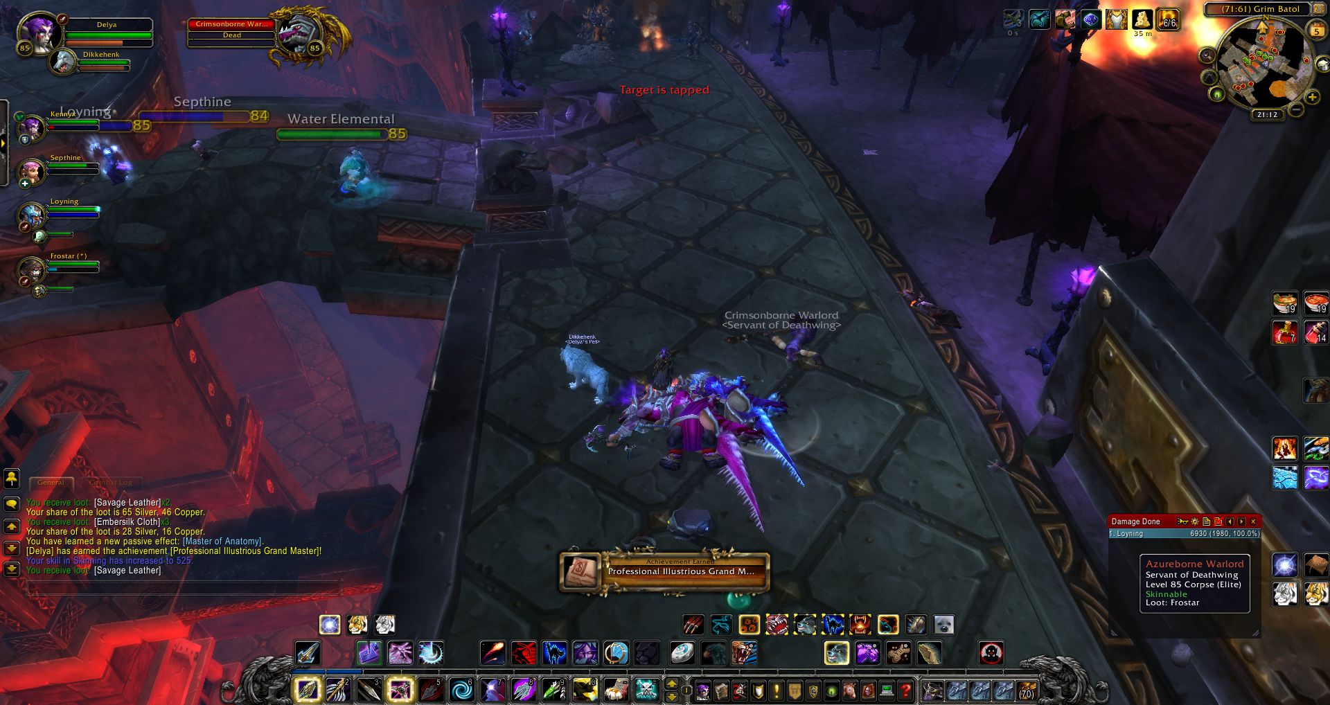 Professional Illustrious Grand Master wow