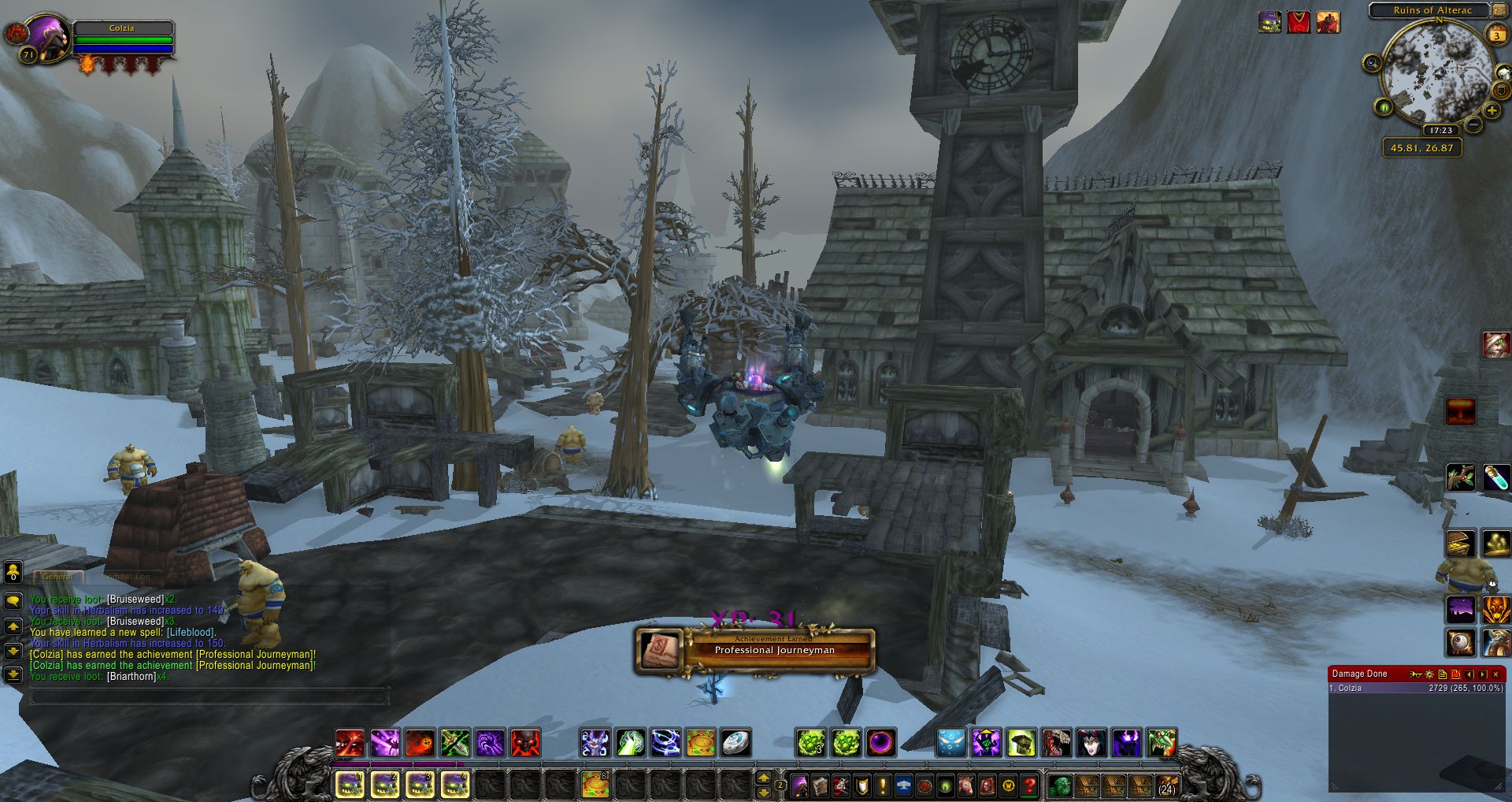Professional Journeyman achievement wow