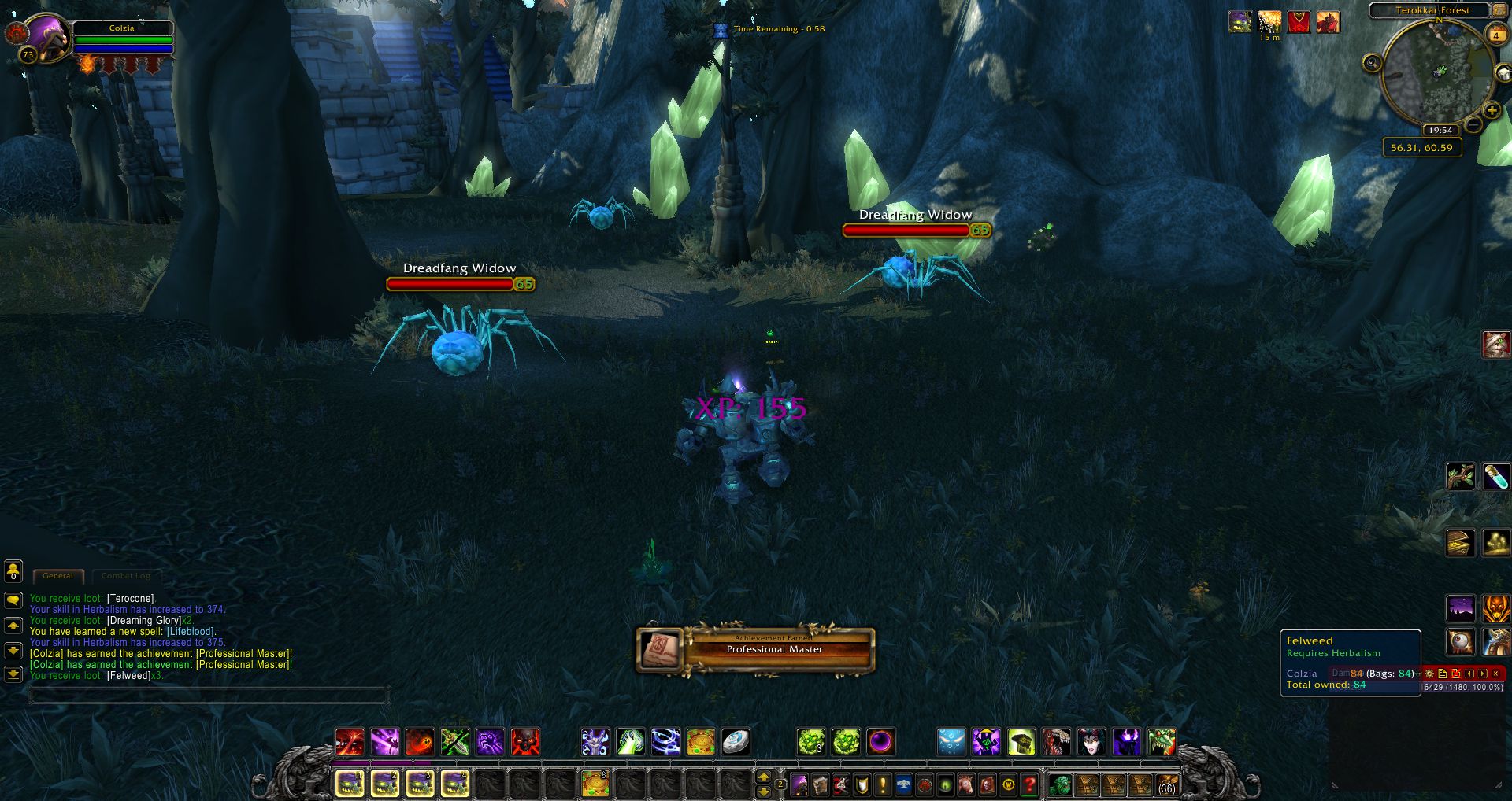Professional Master wow