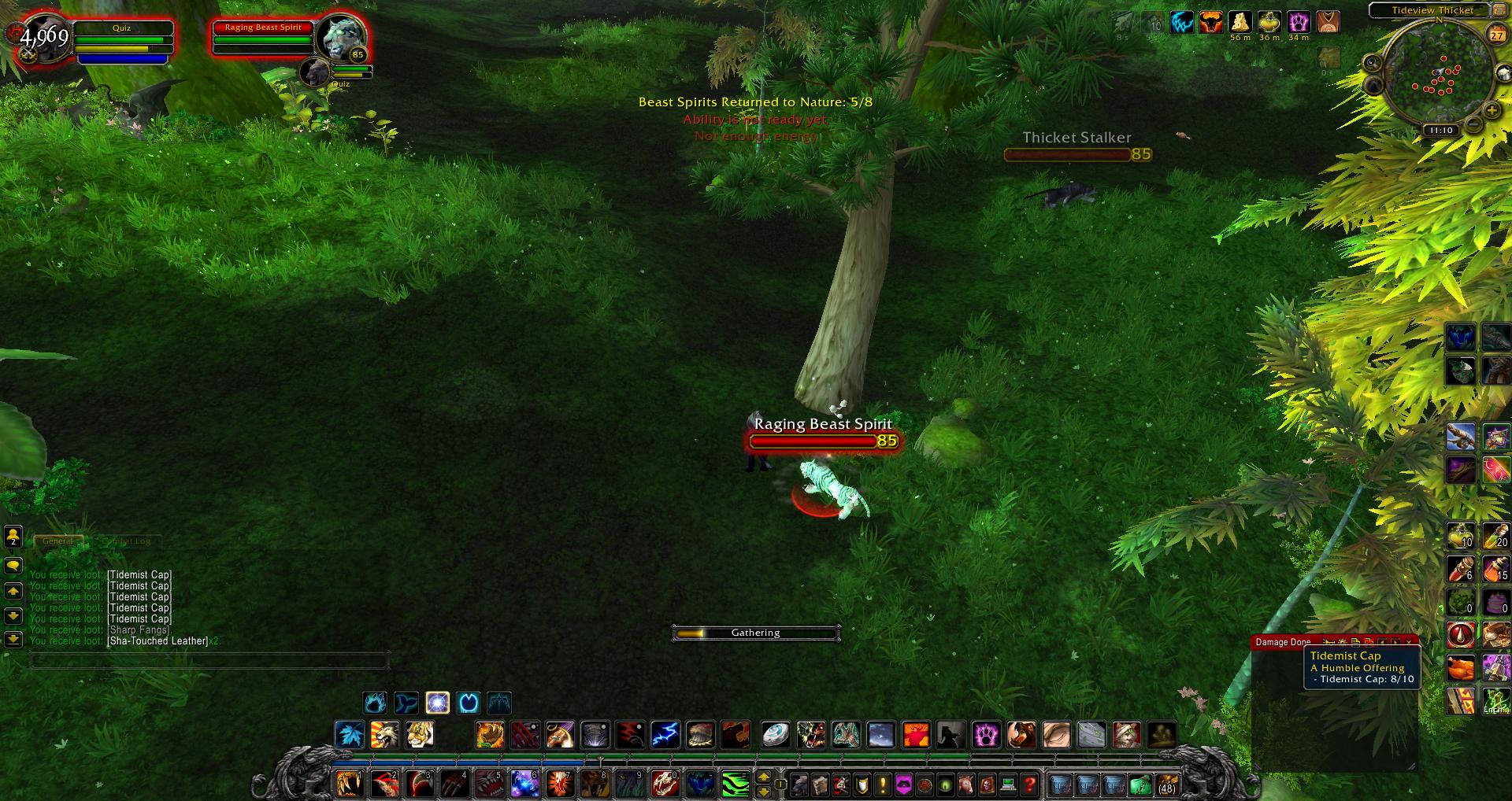 Raging Beast Spirit wow wow