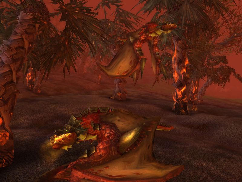 Red Dragons Sholazar Basin wow