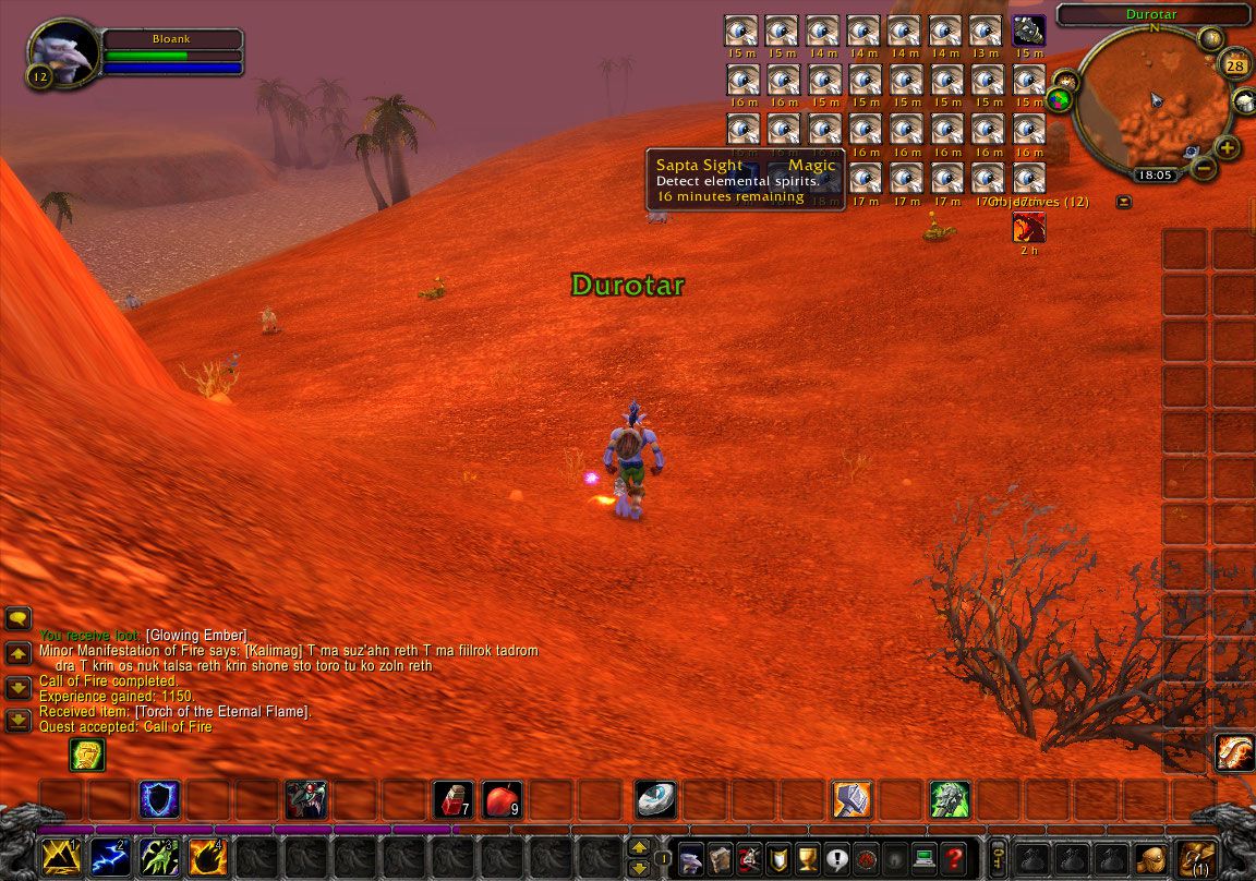 Sapta Sight Shaman bug wow