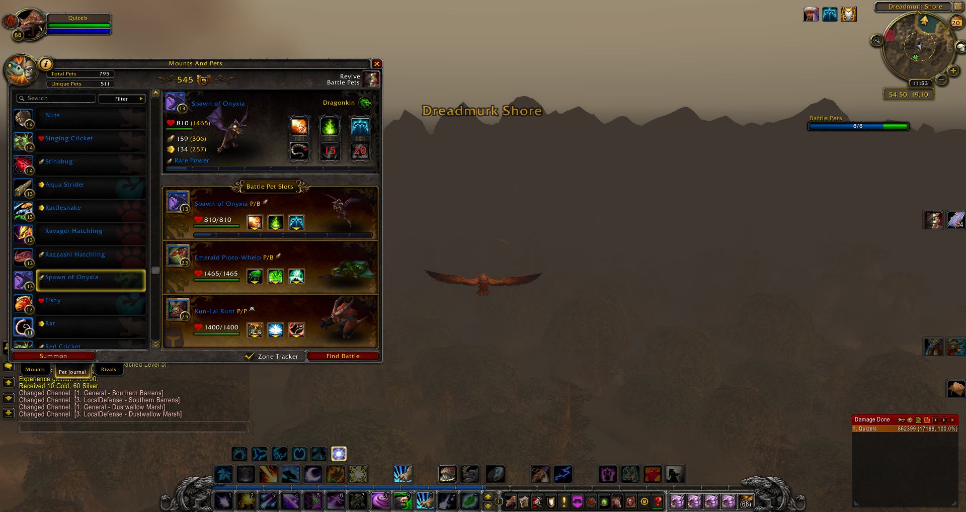 Spawn of Onyxia wow