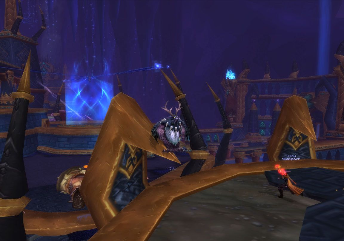 The Old Kingdom bug wow