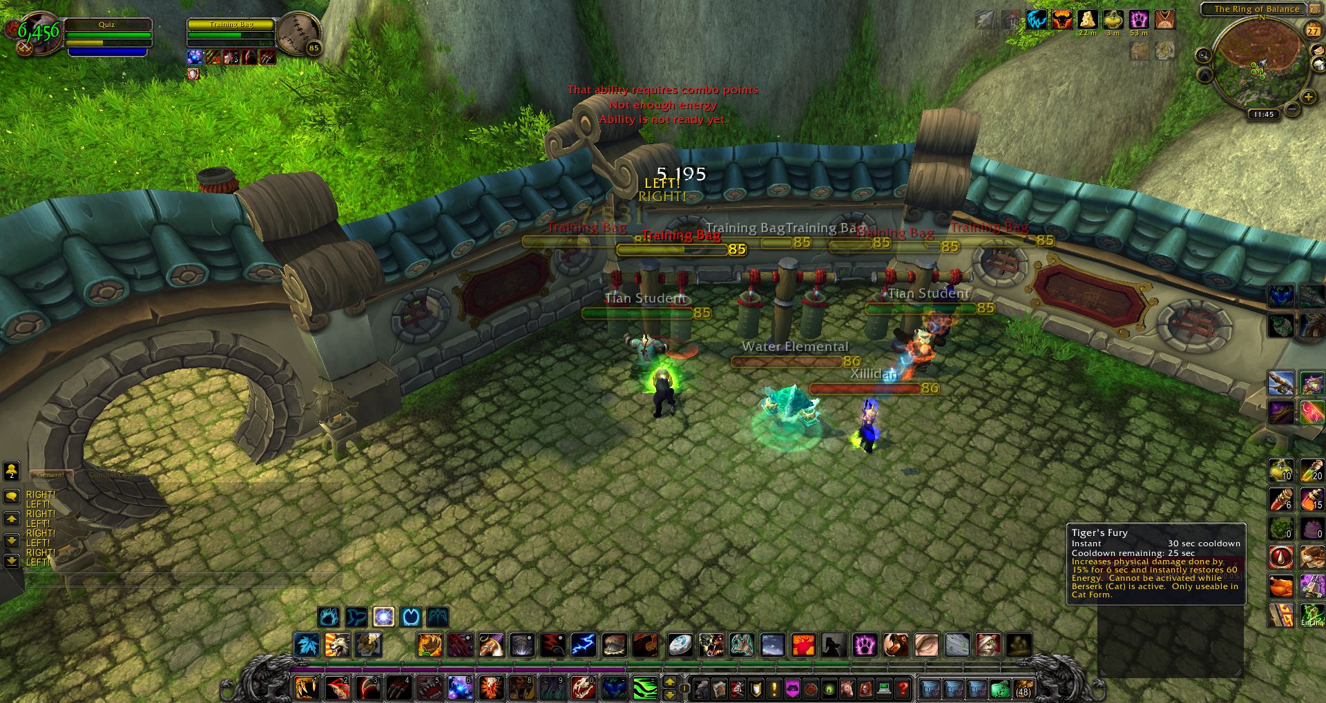 The Ring of Balance wow