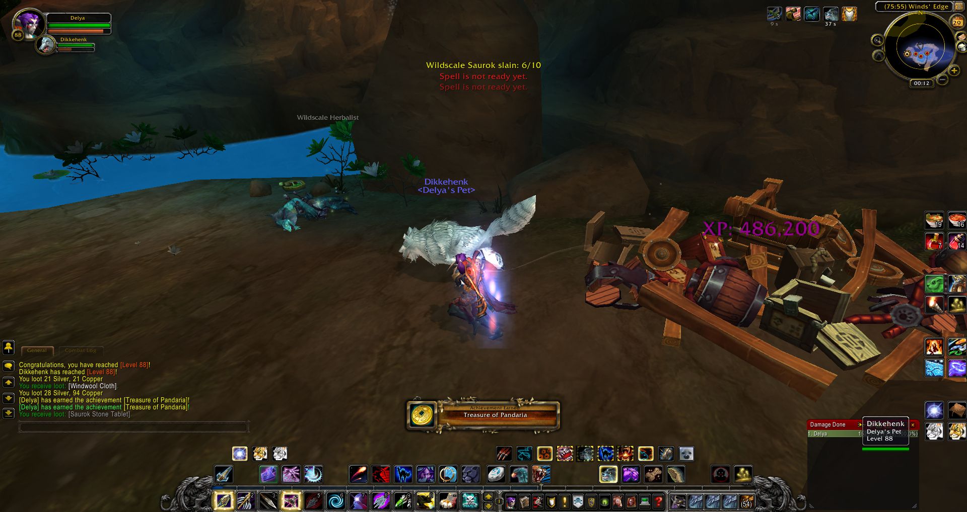 Treasure of Pandaria wow