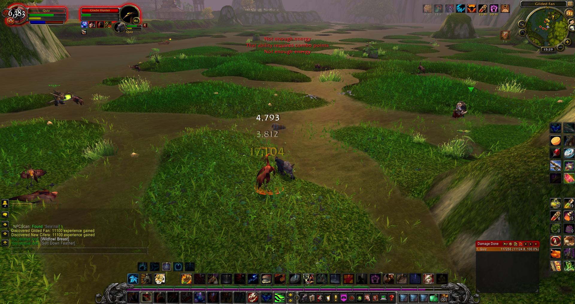 wow Gilded Fan wow