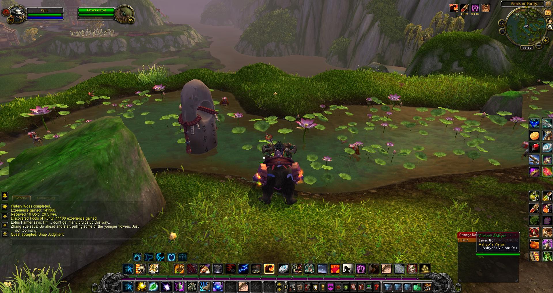 wow Pools of Purity wow