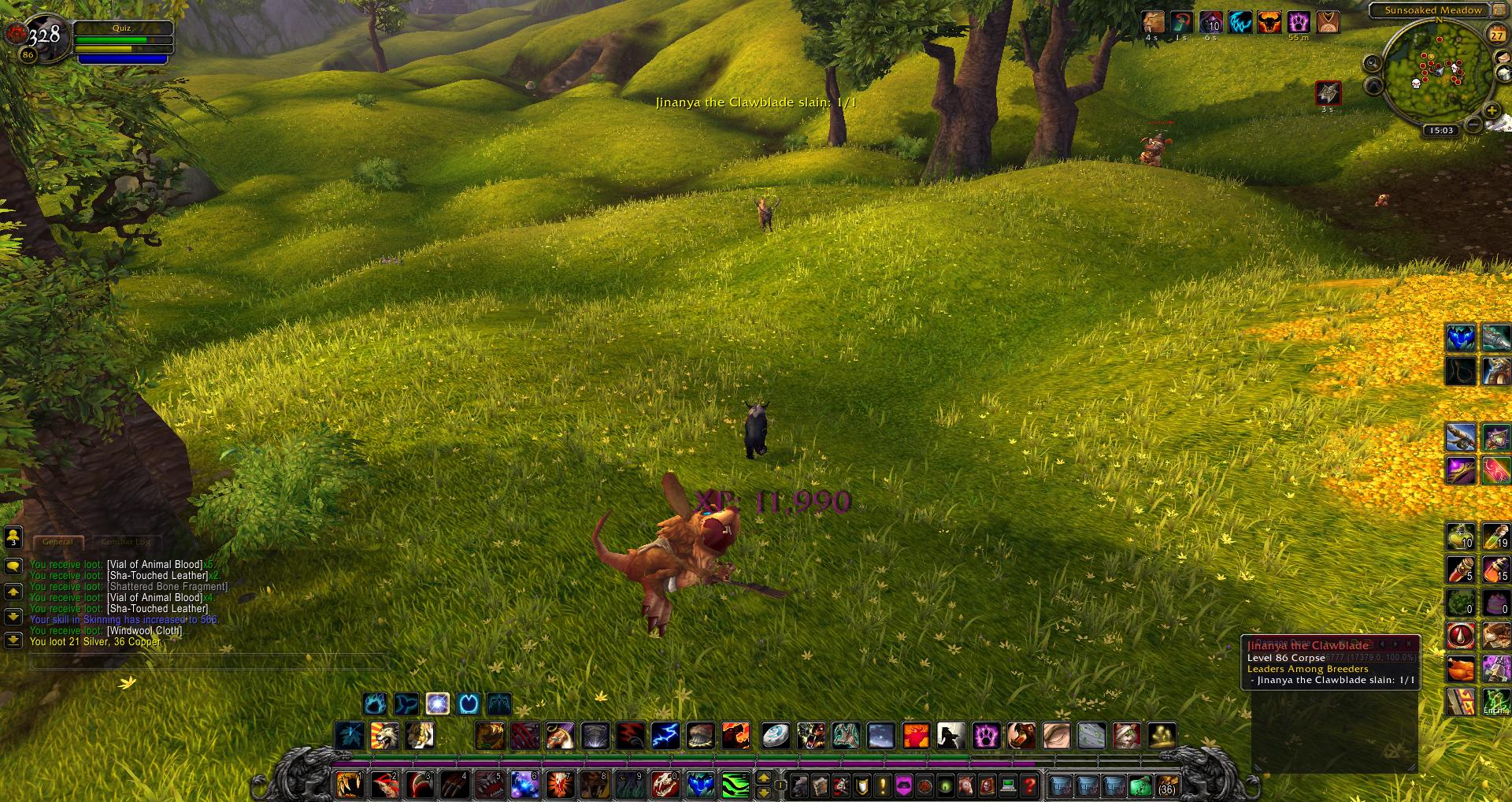 wow Sunsoaked Meadow wow