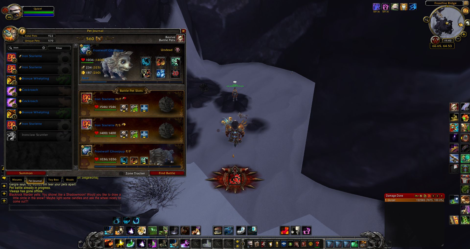 Frostwolf Ghostpup pet wow wow