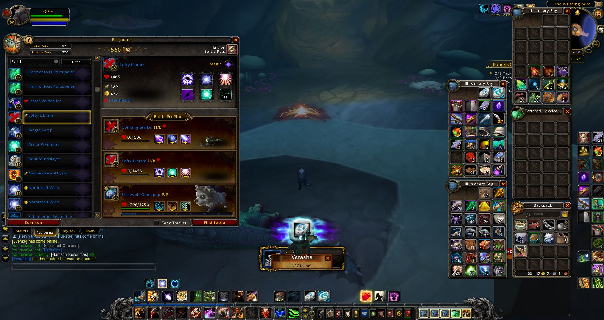 Lofty Libram pet wow