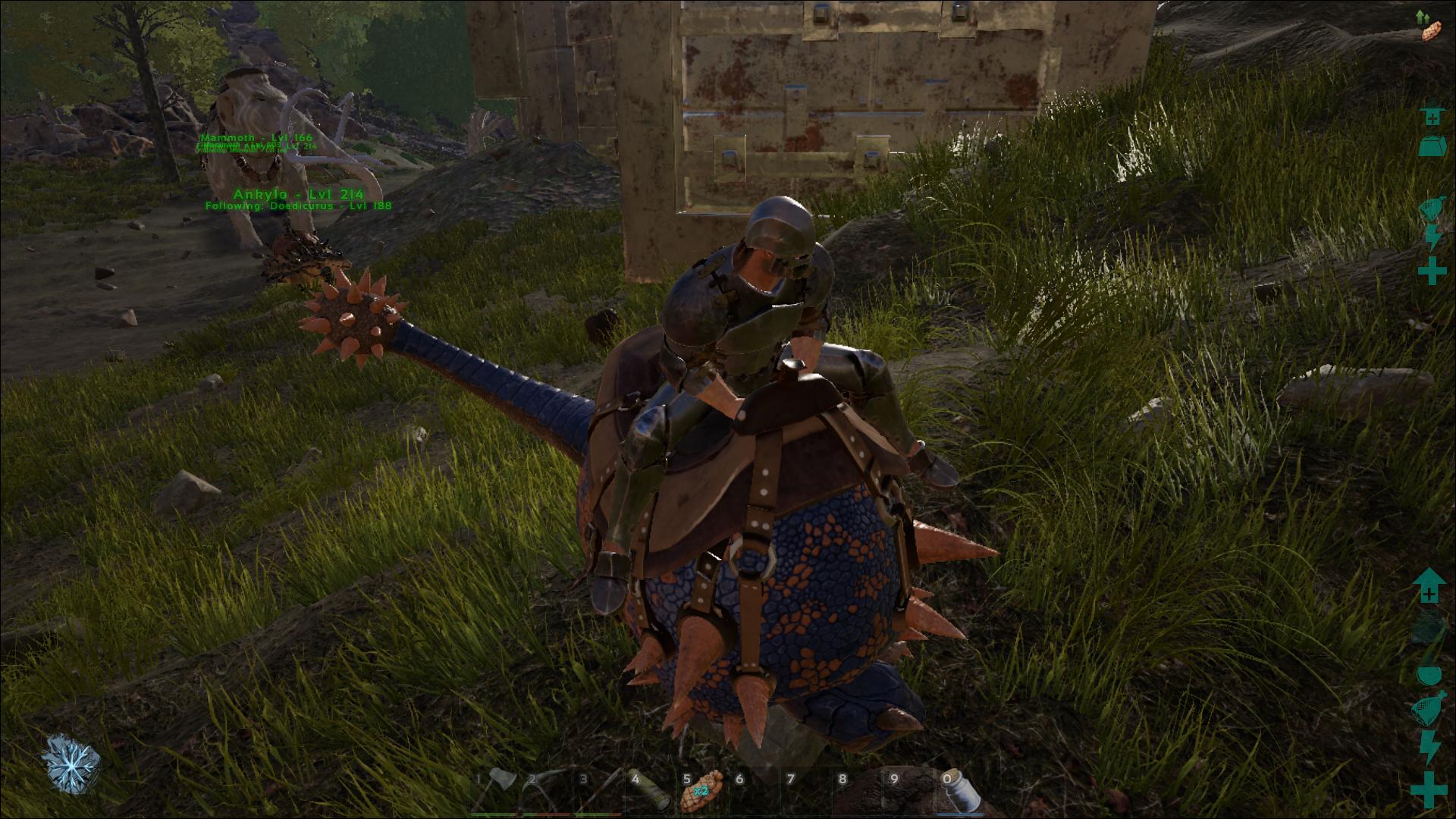 Doedi ark